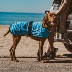 WeatherBeeta Therapy-Tec Cooling Dog Coat