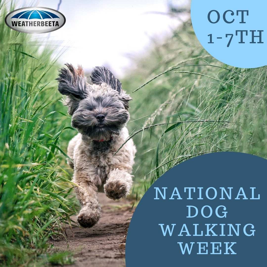 National Walk Your Dog Week 1st-7th Oct