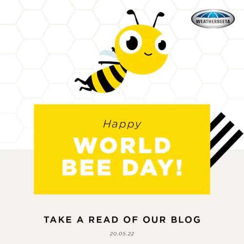 World Bee Day - 20.05.22