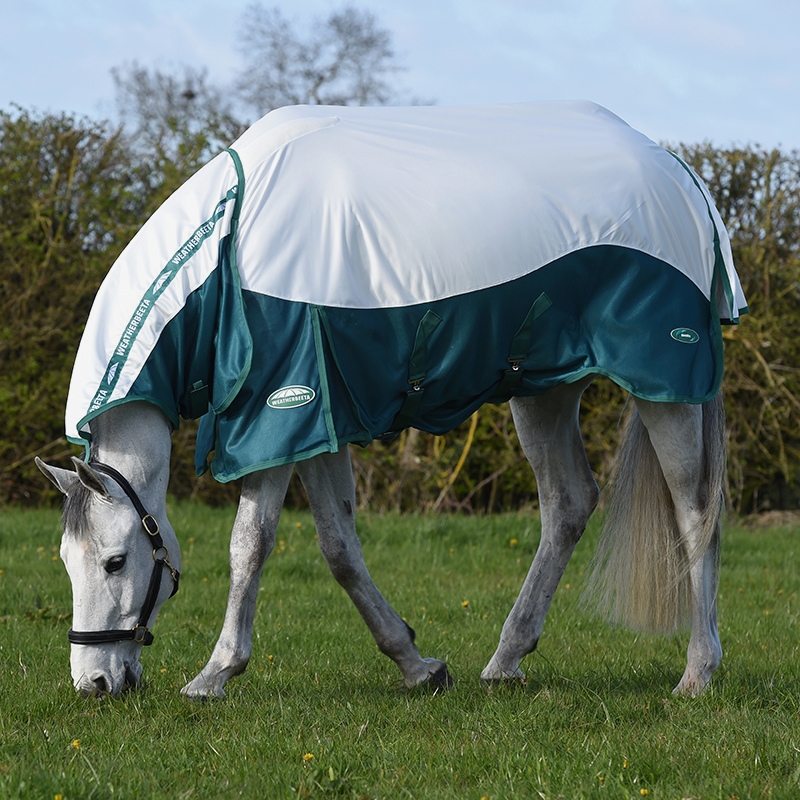 5 Reasons You Should Use a Fly Rug and a Fly Mask on Your Horse