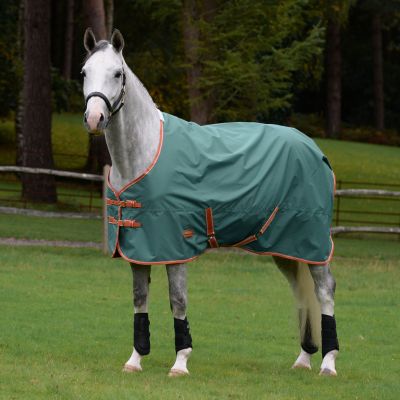 How To Care For And Clean Your Horse's Turnout Rug