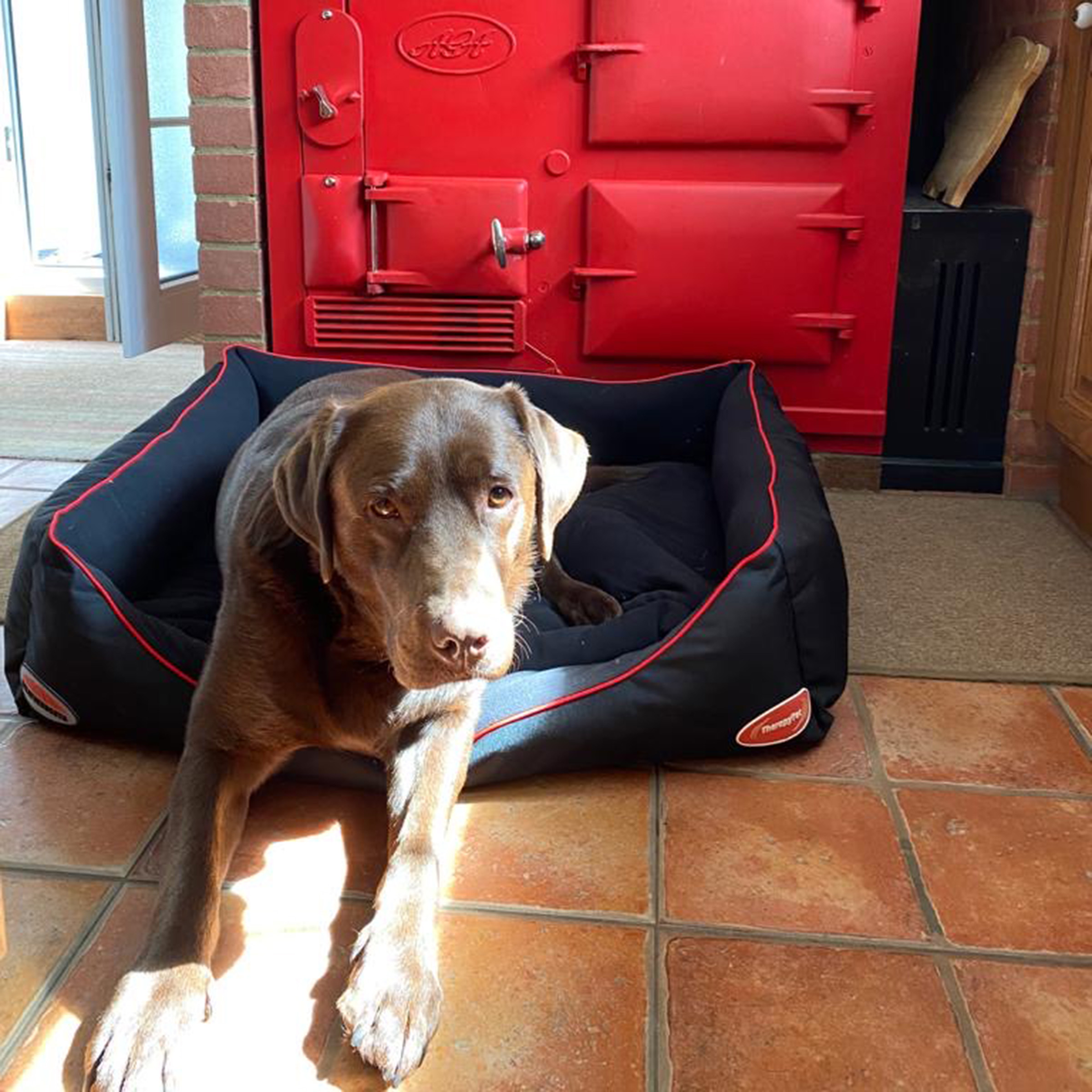Product Review: WeatherBeeta Therapy-Tec Dog Bed