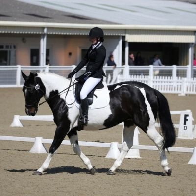 What To Wear To A Dressage Competition