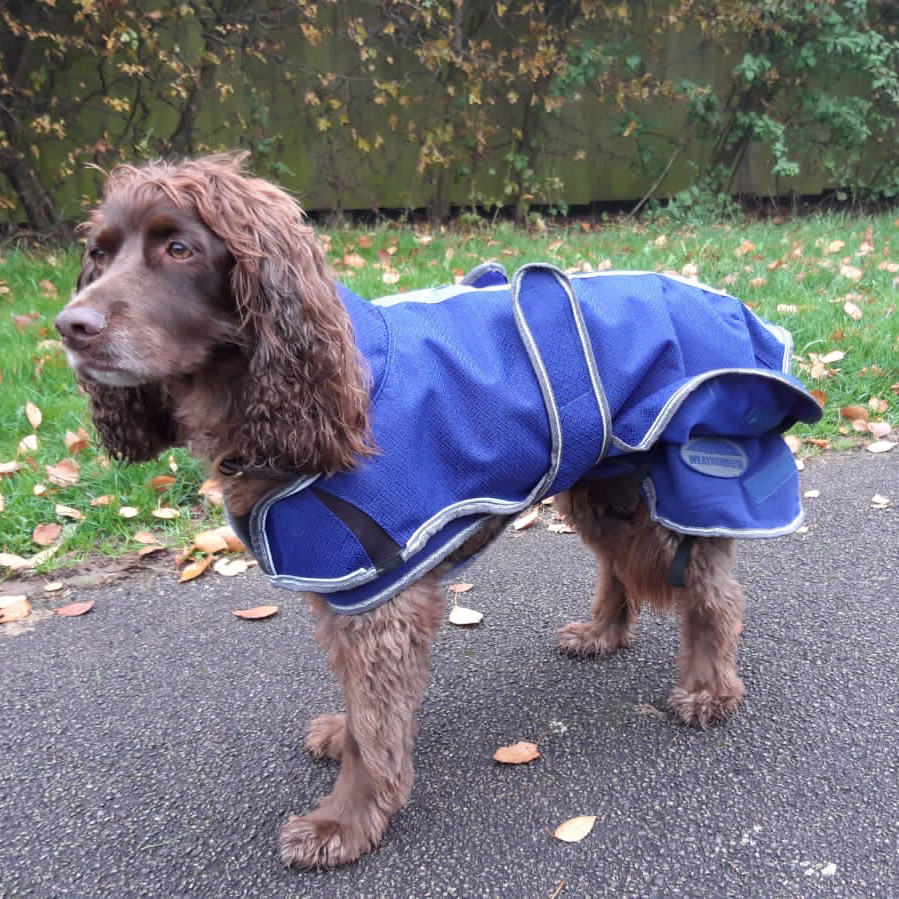Product Review: ComFiTec Premier Free Duo Deluxe Parka Dog Coat