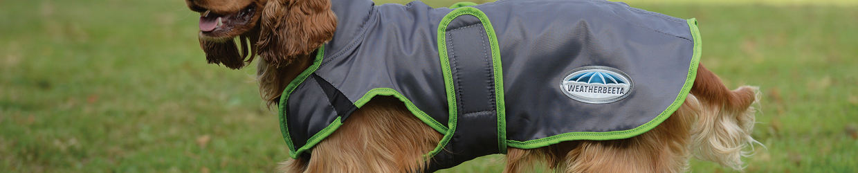 weatherbeeta dog coat