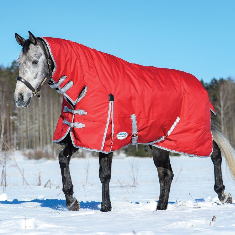 grey horse walking in snow wearing red weatherbeeta turnout rug classic combo
