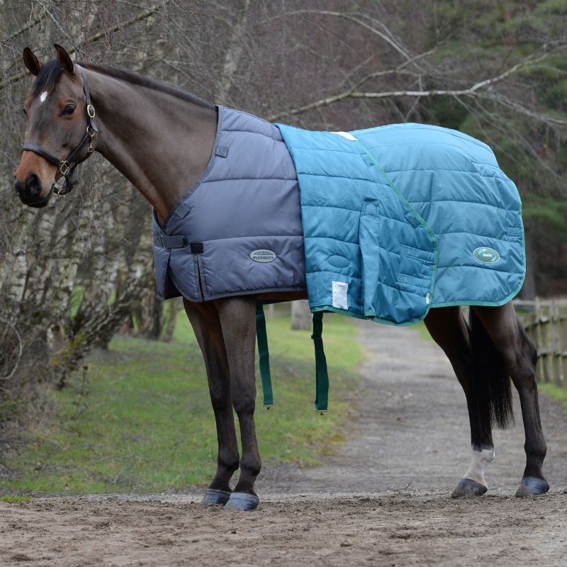 clipped bay horse stood outside wearing turnout rug with rug liner