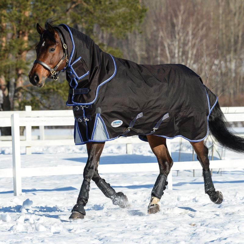 bay horse trotting in snow wearing weatherbeeta comfitec ultra cozi ii detach a neck mediumweight rug