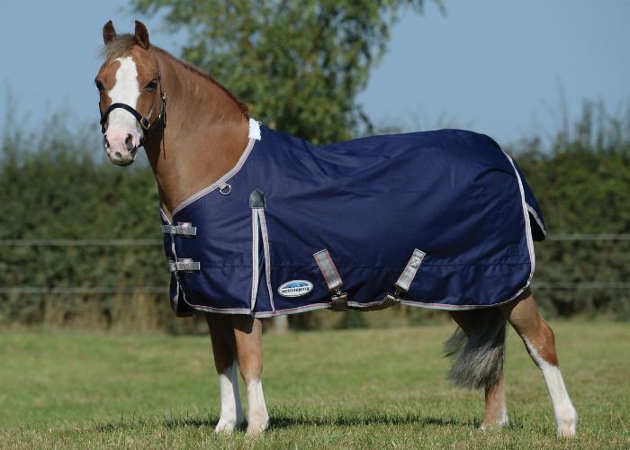 chestnut pony stood outside wearing ComFiTec essential lite plus rug in navy with standard neck