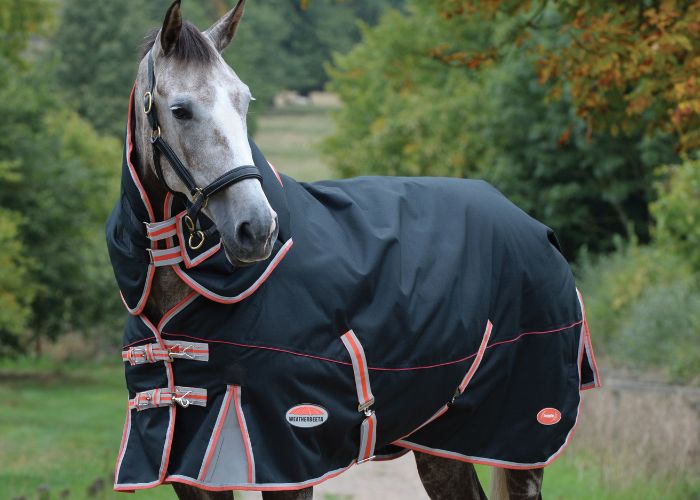 grey horse stood outside wearing weatherbeeta premier with therapy tec detach a neck lite plus rug