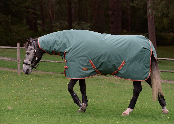 grey horse outside wearing weatherbeeta comfitec tyro lite plus combo rug