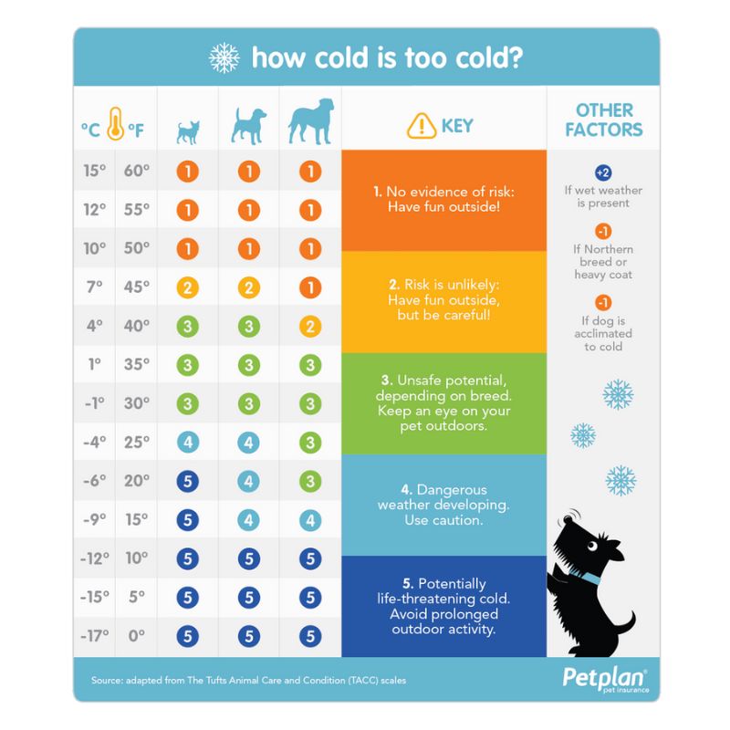pet plan insurance dog coat temperature guide