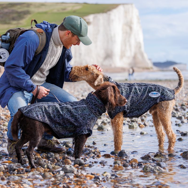 man model with his two dogs in weatherbeeta comfitec reflective print active dog coat on beach in winter
