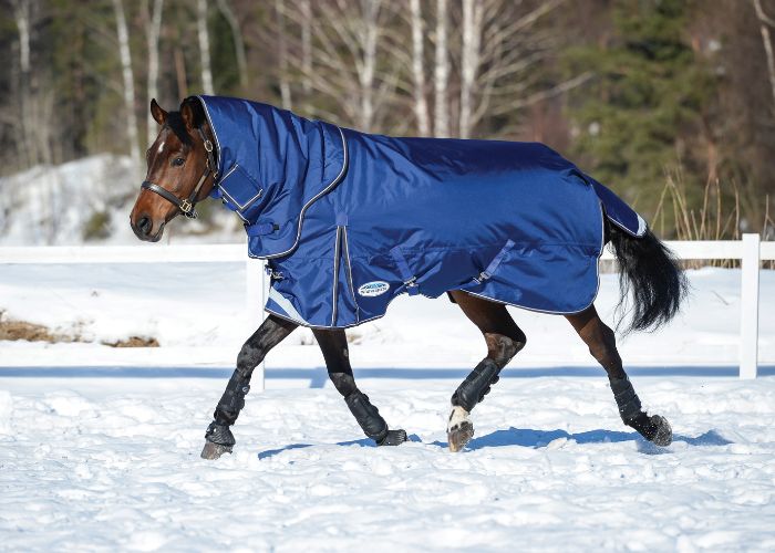 horse outside with weatherbeeta ultra tough turnout rug in the snow
