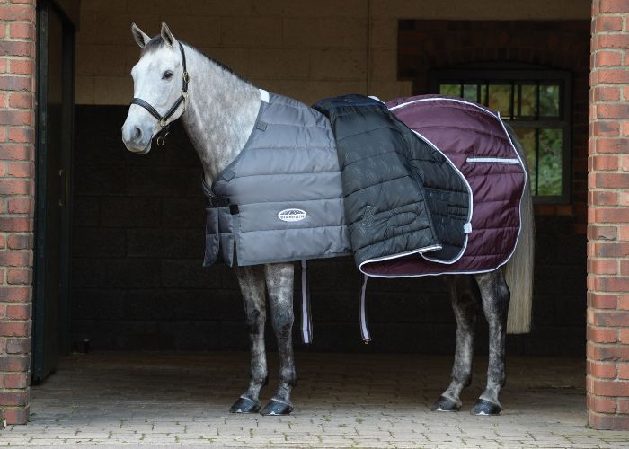 grey horse stood in doorway wearing weatherbeeta stable rug and liner
