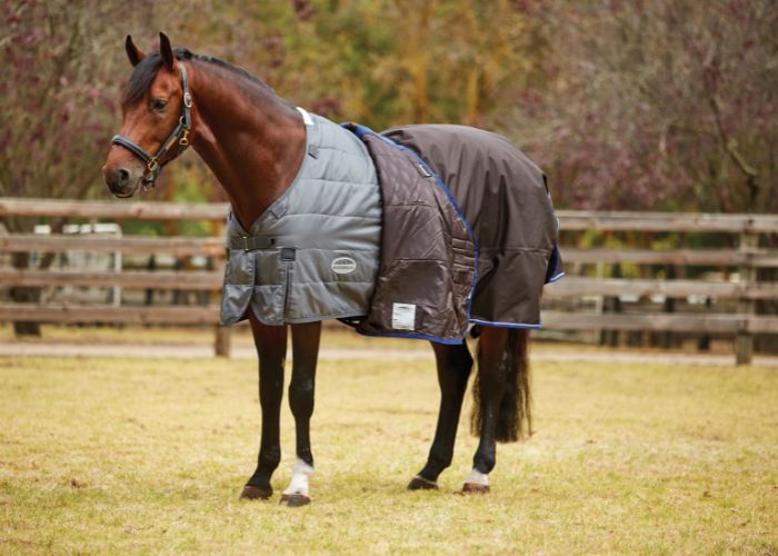 brown horse stood outside wearing weatherbeeta turnout rug and liner