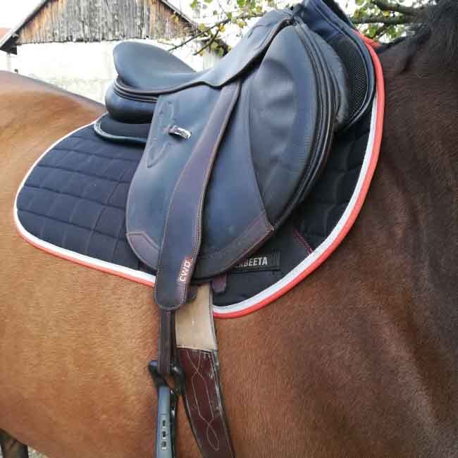 therapy tec saddle pad
