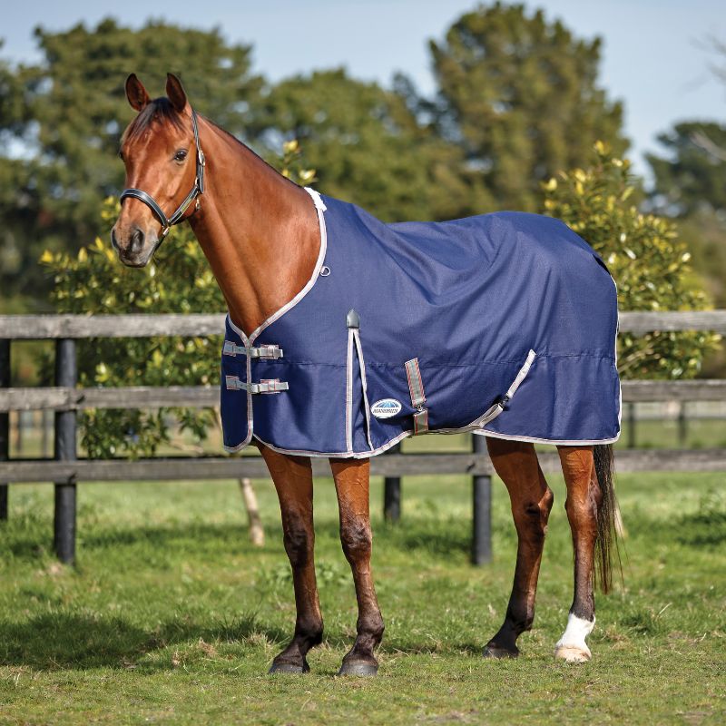 bay horse stood outside wearing navy weatherbeeta turnout rug with standard neck
