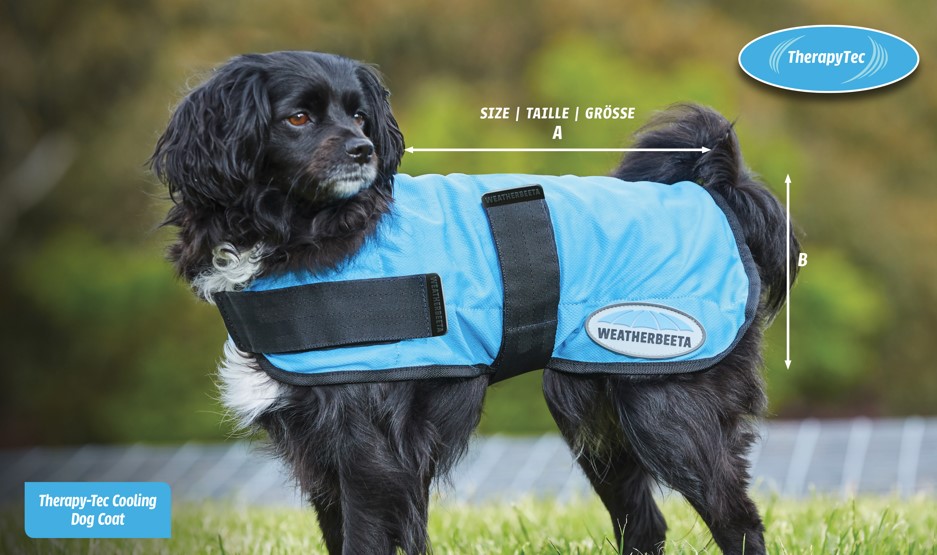 weatherbeeta therapy tec cooling dog coat