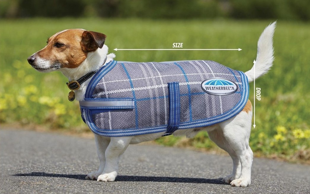 weatherbeeta dog size guide