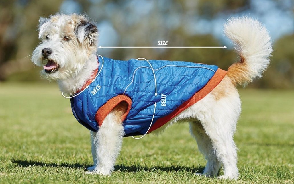 weatherbeeta comfitec puffer dog coat