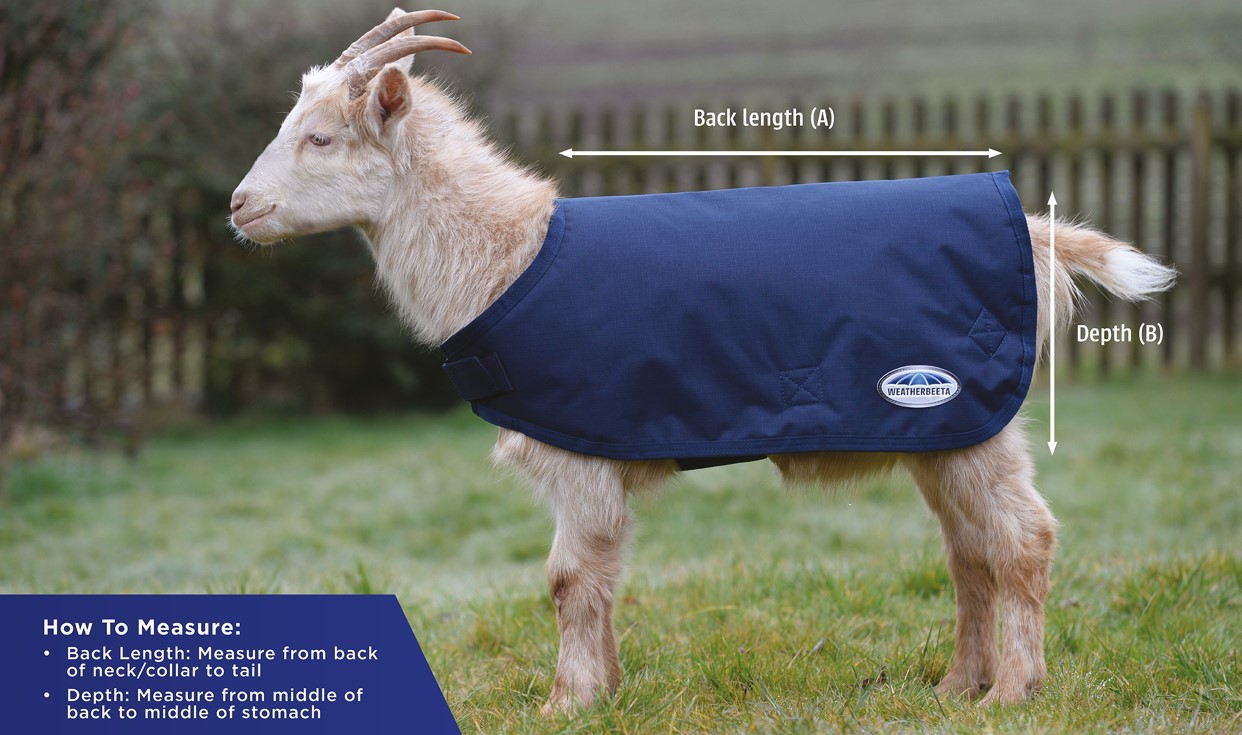 weatherbeeta goat coat size guide