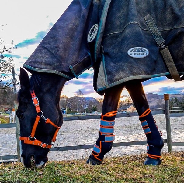 therapy tec stable boot wraps